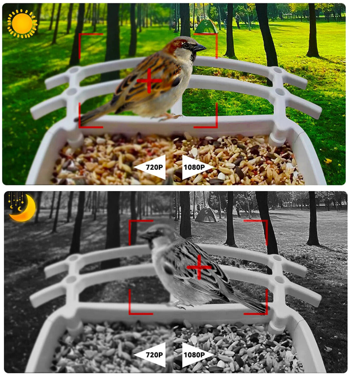 Vlarcen - AI Camera Backyard Feeder