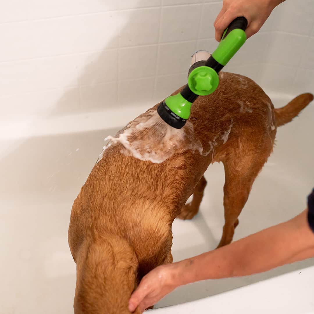ReachSummit - Effortless Dog Washing Hose Attachment