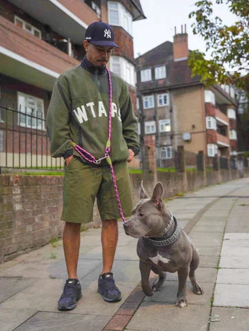 FreedomLeash - Hands-Free Dog Walking Leash