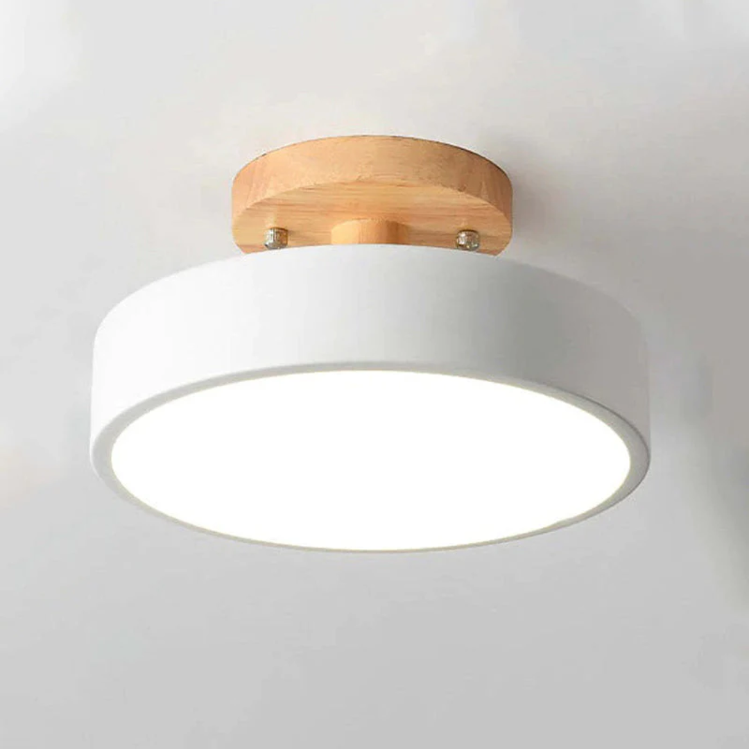 NovaGlow - Modern LED Ceiling Lamp with Adjustable Light Colors