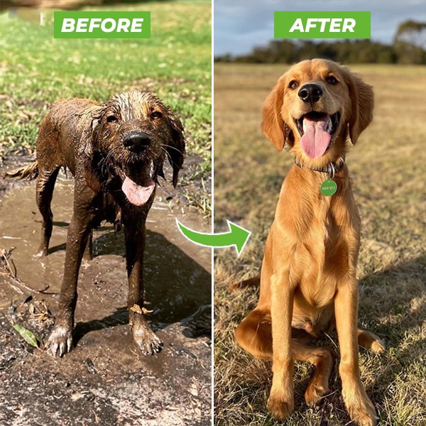 ReachSummit - Effortless Dog Washing Hose Attachment