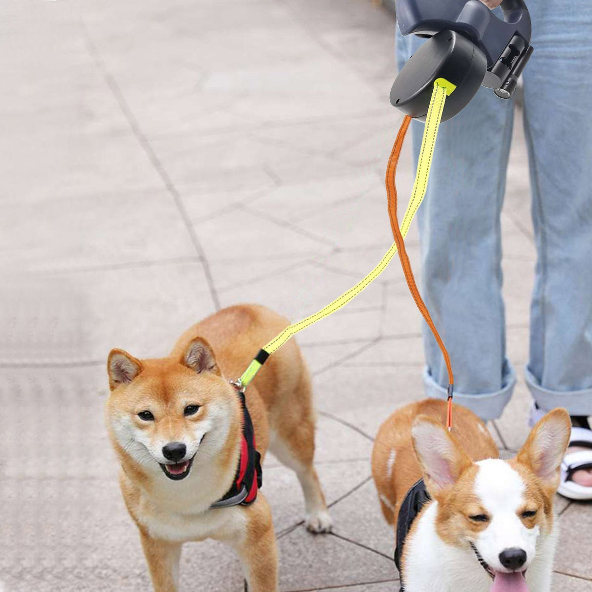 ProPet Duo Leash - The Ultimate Solution for Two Dogs
