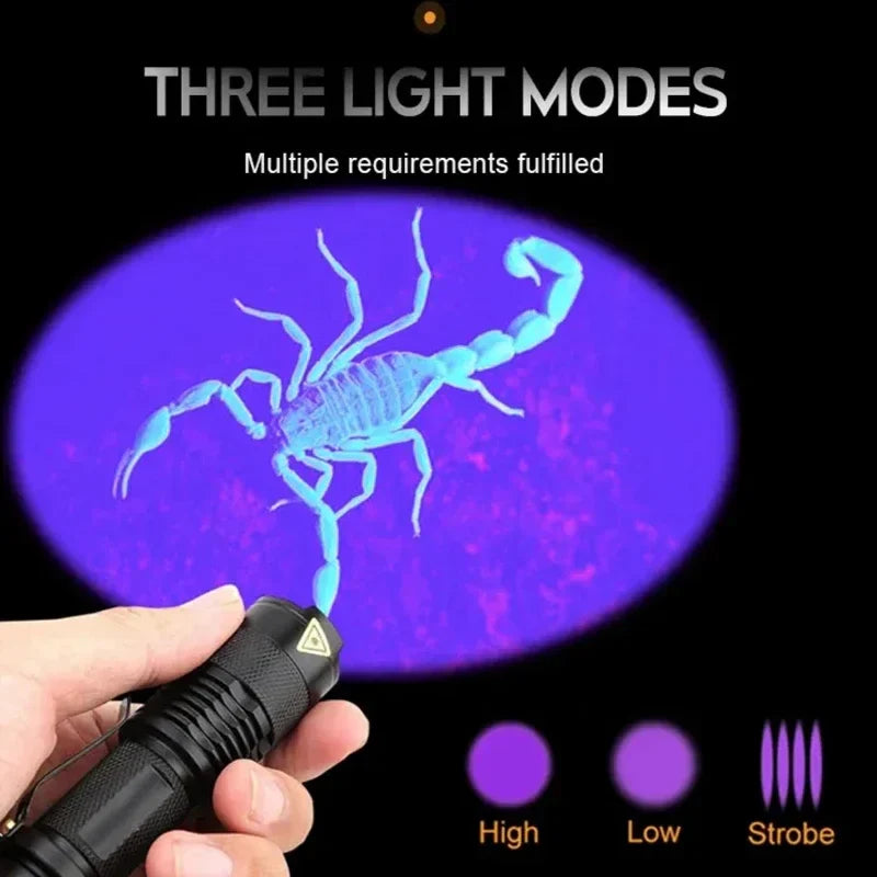 GlowInspect - UV Flashlight for Urine and Stain Detection