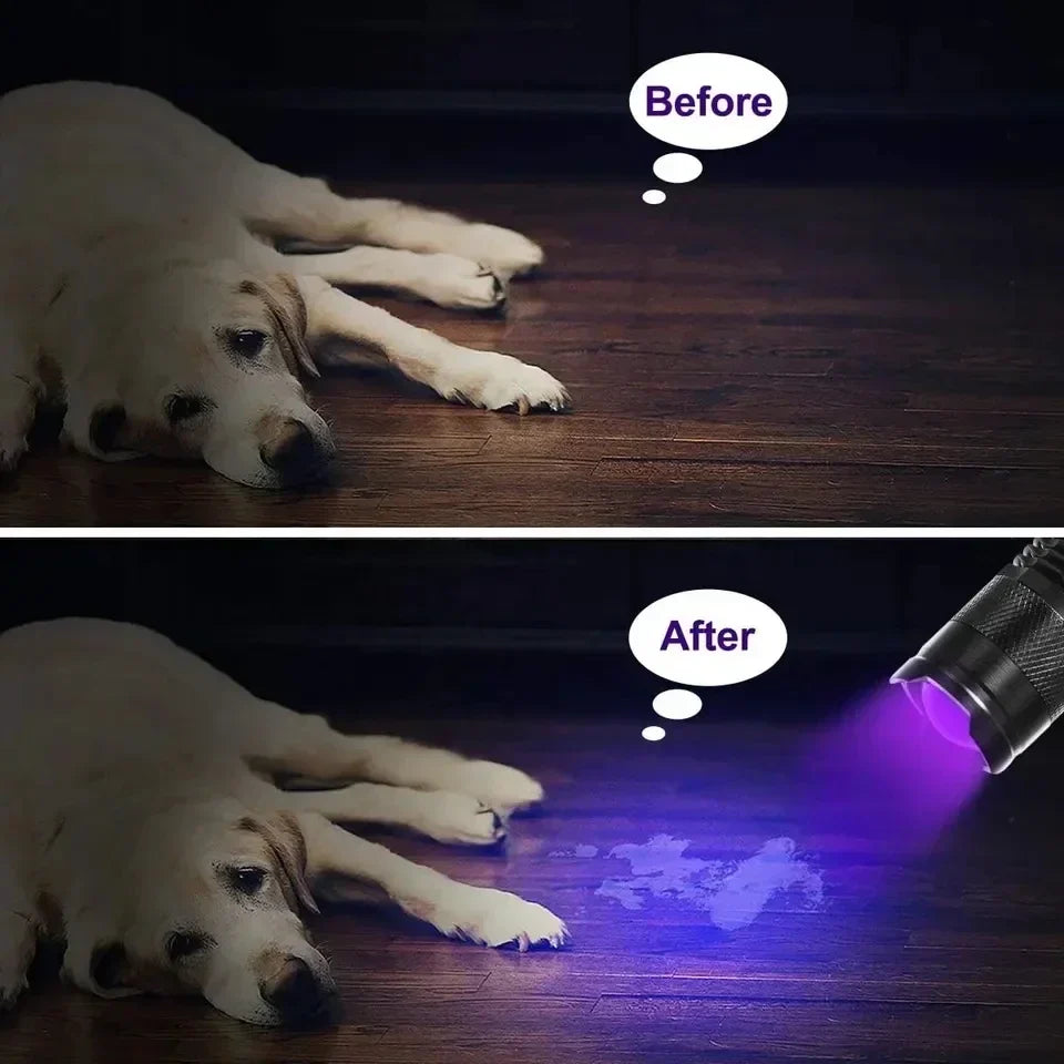 GlowInspect - UV Flashlight for Urine and Stain Detection