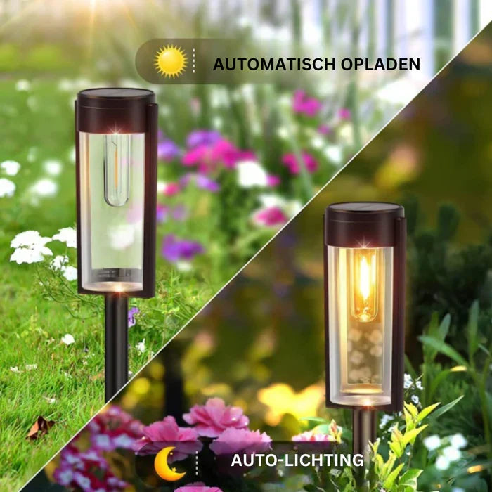 LumiPath - Luxury Solar Path Lights for Your Garden