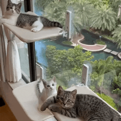 PawPerch - Stylish Foldable Cat Hammock