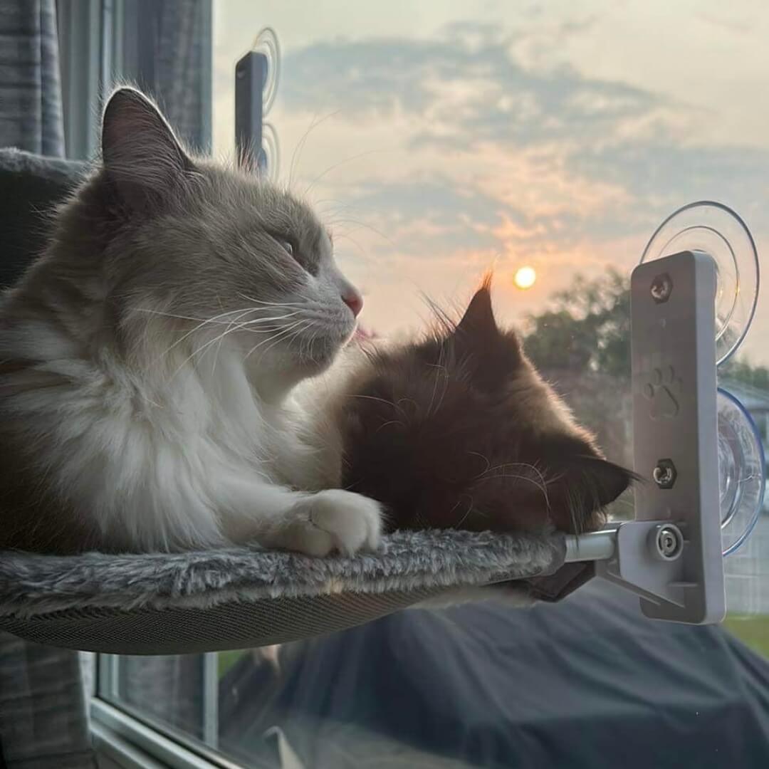PawPerch - Stylish Foldable Cat Hammock