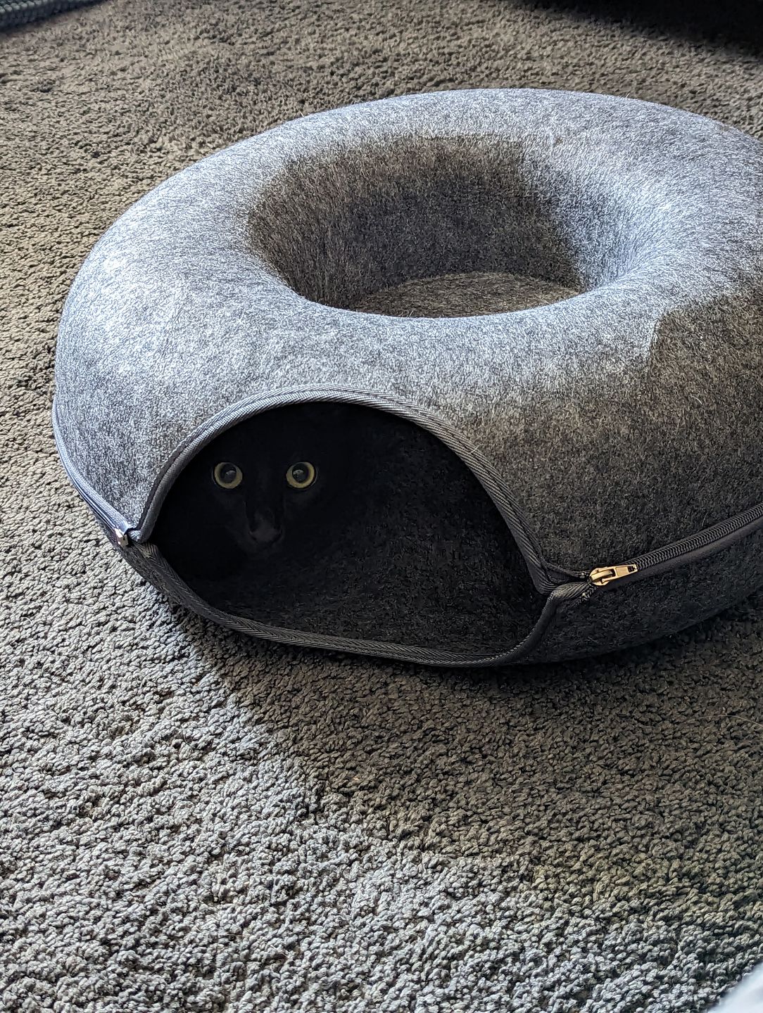 Purrfect Den - Cozy Cat Tunnel with Sleeping Nook