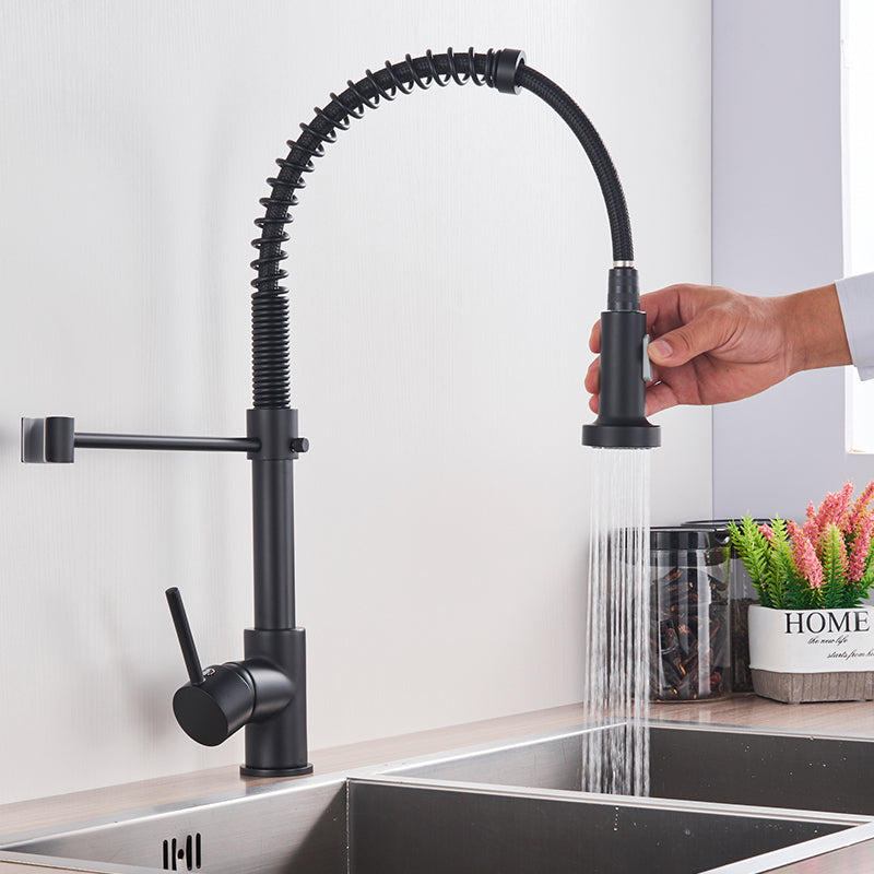 Zoovy Faucet - Stylish Black Kitchen Faucet with Modern Features
