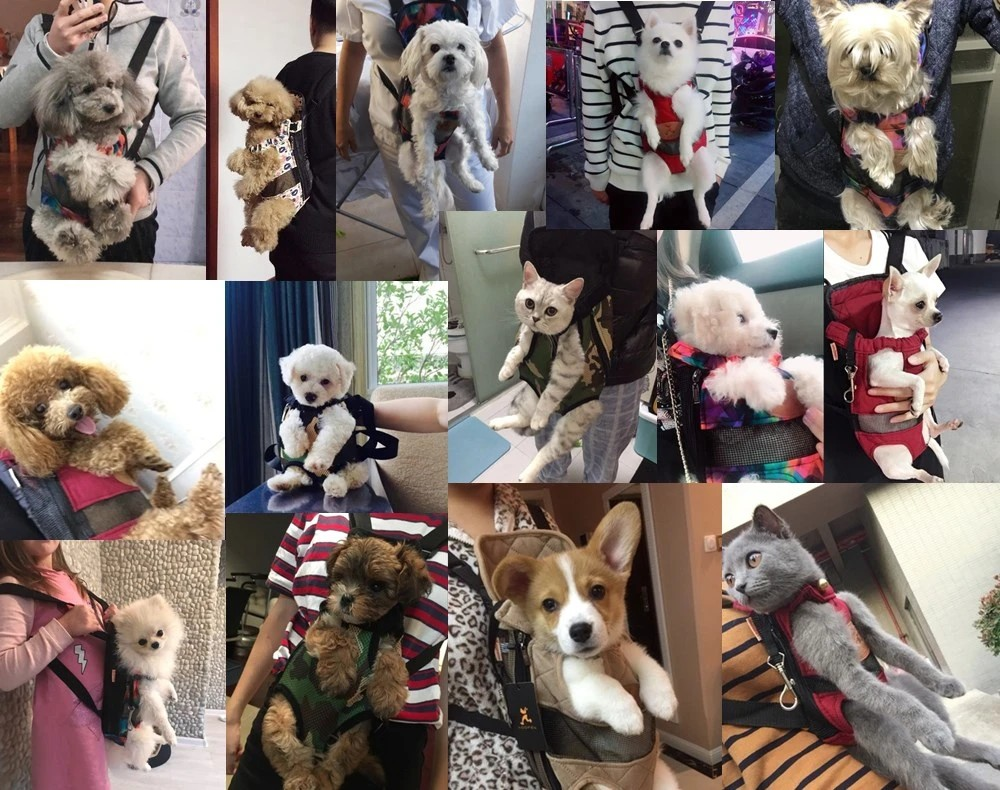 TravelBuddy Carrier - Comfortable Luxury Pet Travel Bag