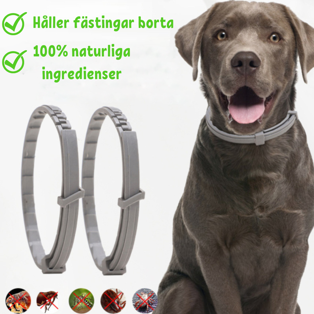 FleaShield Collar - Flea and Tick Protection for Pets